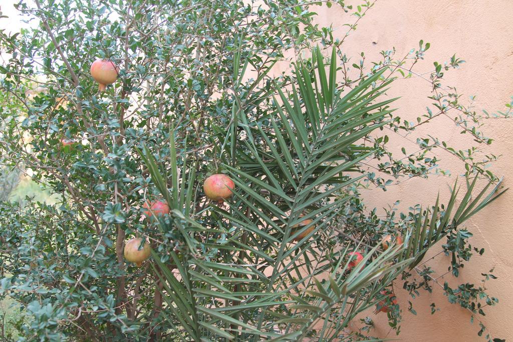 Kasbah Valentine Bed & Breakfast Ait Benhaddou Exterior foto